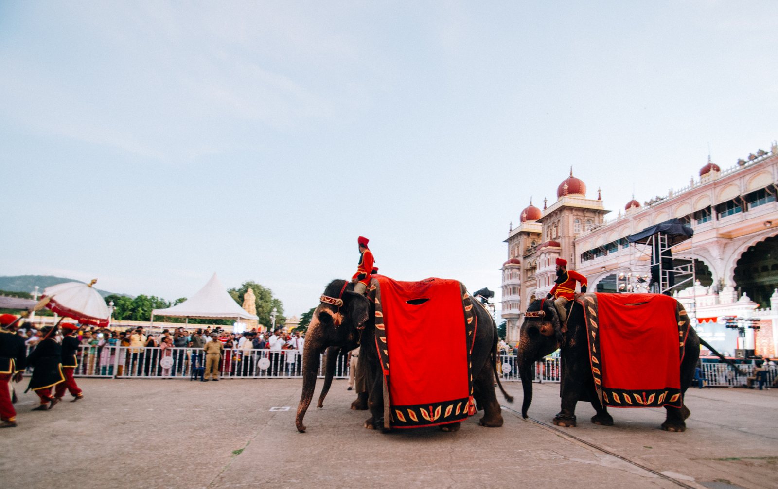 The Dasara elephants at the assembly ground before the march